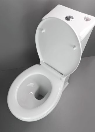 Чаша унитаза напольный Creo Сeramique TOULOR TL1002 цвет белый без сиденья и бачка