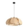 Светильник подвесной Freya Cocoon (Кокон) FR5529PL-01B