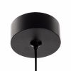 Светильник подвесной Citilux Hardy (Харды) CL002P11