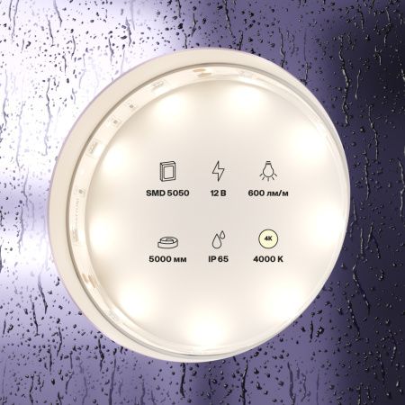 Светодиодная лента Maytoni Led Strip 10124