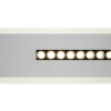 Светильник потолочный Freya Shine (Сияние) FR6105CL-L40W