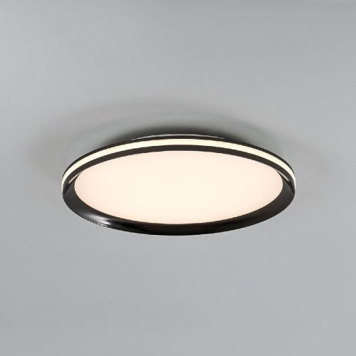 Светильник потолочный LED4U L3020-400 BK - фото 3