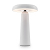 Настольная лампа Freya Mushroom (Гриб) FR6109TL-L4W
