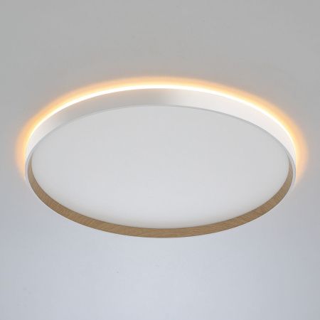 Светильник накладной Citilux Etalon (Еталон) CL750500R