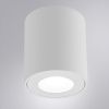 Светильник накладной Arte Lamp Tino (Тино) A1469PL-1WH
