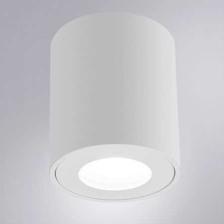 Светильник накладной Arte Lamp Tino (Тино) A1469PL-1WH