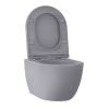 Унитаз подвесной Wellsee Chalice Perfection 182610001 серый с сиденьем микролифт безободковый смыв торнадо