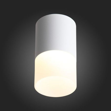 Светильник накладной ST Luce OTTU (ОТТУ) ST100.502.10
