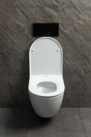 Чаша унитаза подвесная Allen Brau Priority Tornado 4.31008.20 цвет белый без сиденья безободковая душевой смыв