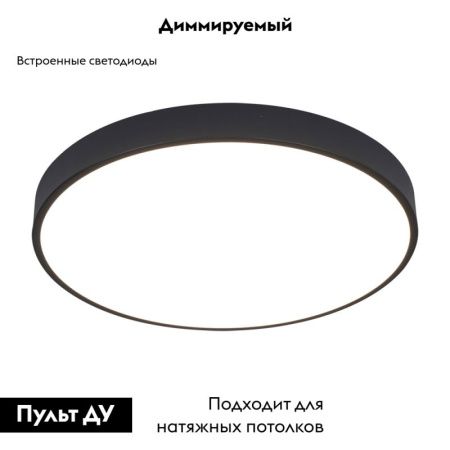 Светильник накладной Arte Lamp Arena (Арена) A2672PL-1BK
