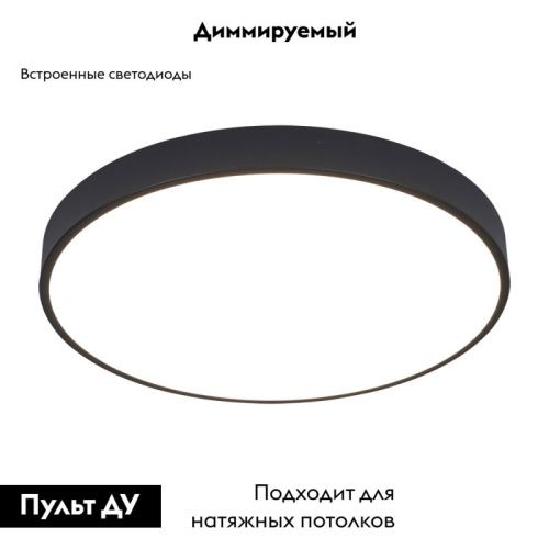 Светильник накладной Arte Lamp Arena (Арена) A2672PL-1BK - фото 2