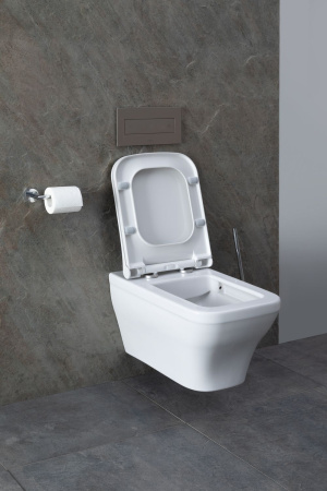 Чаша унитаза подвесная Allen Brau Infinity 4.21011.20 цвет белый без сиденья безободковая каскадный смыв