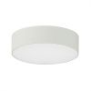 Светильник накладной Citilux Тао CL712120N