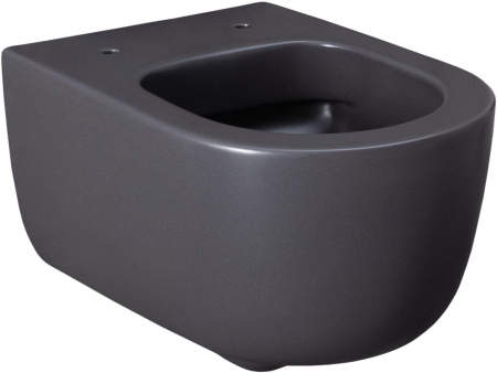 Чаша унитаза подвесная Allen Brau Priority 4.31002.AN цвет черный без сиденья безободковая каскадный смыв