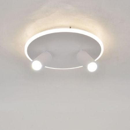 Настенно-потолочный светильник Escada 20046led 20046SMA/02LED WH