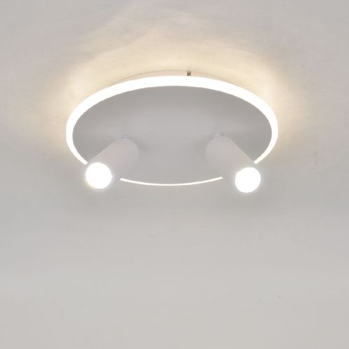 Настенно-потолочный светильник Escada 20046led 20046SMA/02LED WH - фото 5