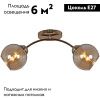 Люстра потолочная Reluce 01538-0.3-02 FGD