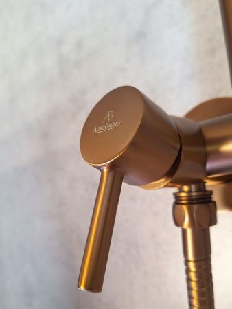 Гигиенический душ со смесителем AltroBagno Modern AltroBagnoModern060123BC медь