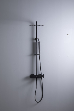 Душевая стойка Allen Brau Infinity 5.21029-31 настенная цвет черный