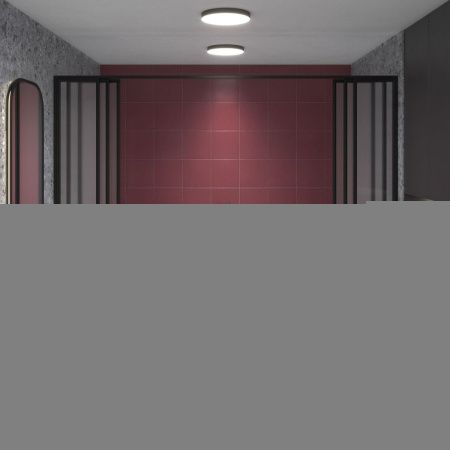 Ванна акриловая Wellsee Camellia 2.0 236202000 170х80 отдельностоящая асимметричная с ножками