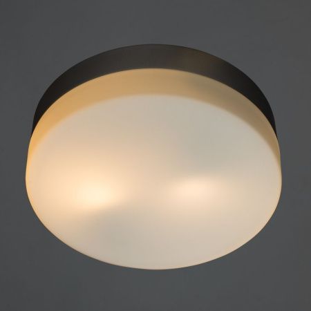 Светильник накладной Arte Lamp Shirp (Схирп) A3211PL-2SI