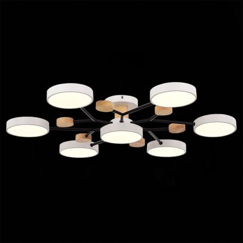 Люстра на штанге Evoluce Faema (Фаема) SLE6006-502-07 - фото 4