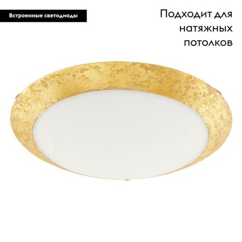 Настенно-потолочный светильник Eglo Montenovo (Монтеново) 98023 - фото 2