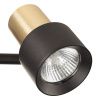 Спот Citilux Sat (Сат) CL505621