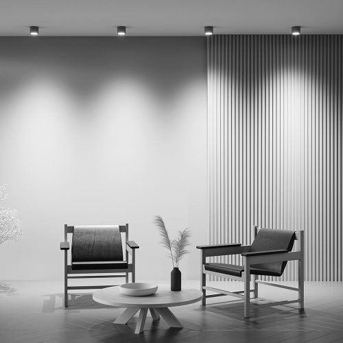 Светильник потолочный Maytoni Technical Rendo C095CL-GX53-GR - фото 5