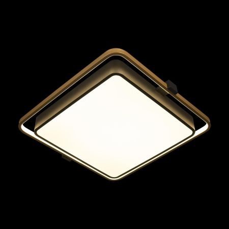 Светильник потолочный Loft It Mike 10172