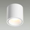 Светильник накладной Odeon Light Redo (Редо) 6620/10CL