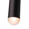 Светильник подвесной Loft It LEE 1511-BL