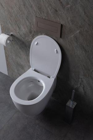 Чаша унитаза подвесная Allen Brau Fantasy 4.11HC1.20 цвет белый без сиденья безободковая каскадный смыв