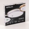 Светильник потолочный Citilux Norma (Норма) CL748181