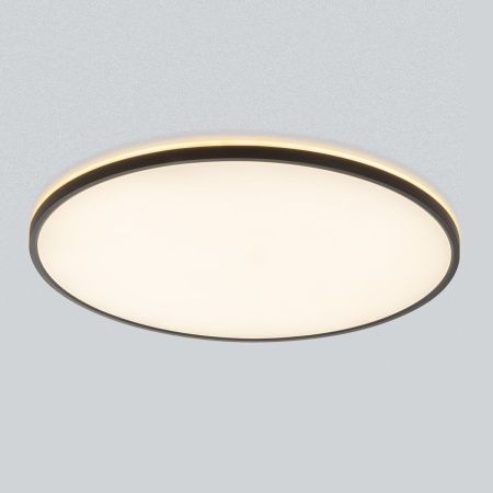 Светильник потолочный Citilux Norma (Норма) CL748601