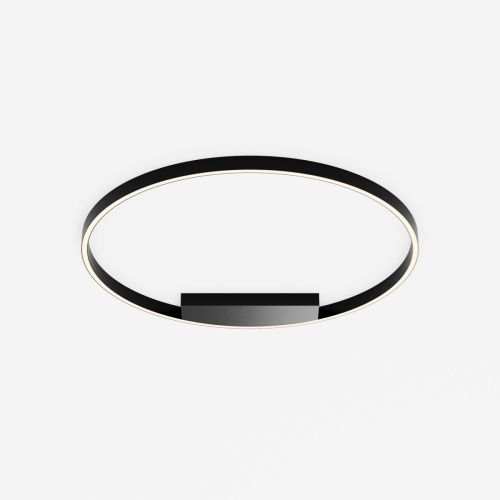 Светильник потолочный Maytoni Rim MOD058CL-L50BK - фото 3