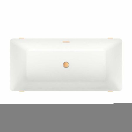 Ванна акриловая Wellsee FR.Euphoria 230101004 170х80 отдельностоящая прямоугольная с ножками