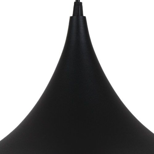Светильник подвесной Arte Lamp Carmel (Цармел) A7080SP-1BK - фото 3