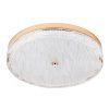 Светильник потолочный LED4U L1117-500 GD
