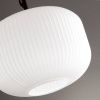Светильник подвесной Odeon Light ROOFI (РООФИ) 4753/1