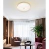 Светильник потолочный LED4U L1115-500 GD