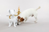 Настольная лампа Seletti Rio lamp (Рио ламп) 14794