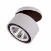 Спот Lightstar FORTE INCA (ФОРТЕ ИНЦА) 213849