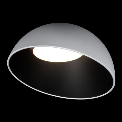 Светильник потолочный Loft It Egg 10197/500 WB - фото 2