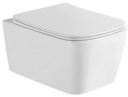 Чаша унитаза подвесная Allen Brau Liberty 4.32003.20 цвет белый без сиденья безободковая каскадный смыв