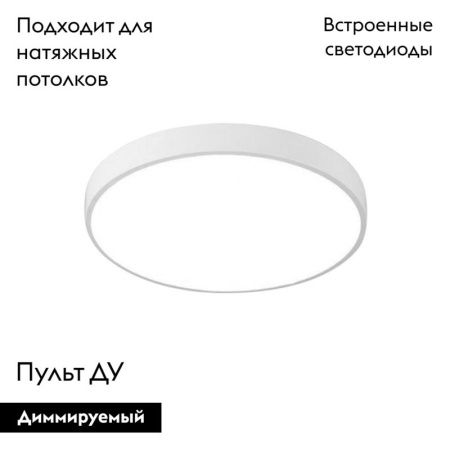Светильник накладной Arte Lamp Arena (Арена) A2661PL-1WH