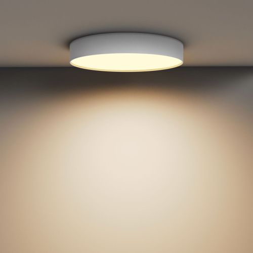 Светильник потолочный Maytoni Technical Zon C032CL-45W2.7K-RD-W - фото 4