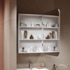 Зеркало-шкаф Alavann Cosmetic ALV0770001 60х80 подвесной цвет белый