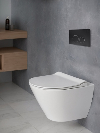 Клавиша смыва механическая AltroBagno Beni aggiuntivi AltroBagnoPFP005DQ цвет черный