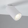 Спот Arte Lamp Nodo (Нодо) A3213PL-1WH